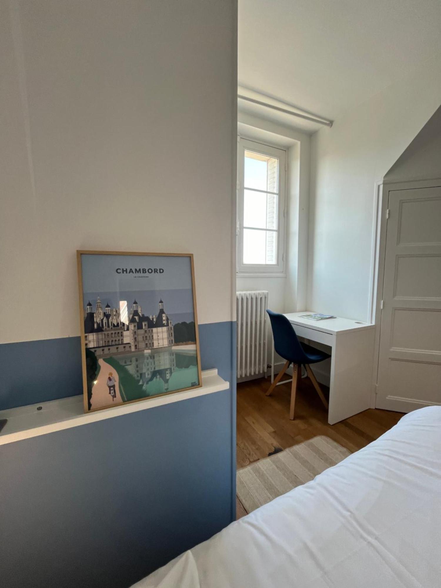 Le Wilson - Vue Imprenable Sur La Loire Et Le Chateau De Blois Esterno foto